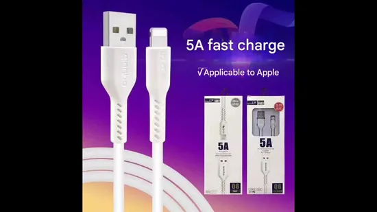 Wholesale 5A Fast Charging Type